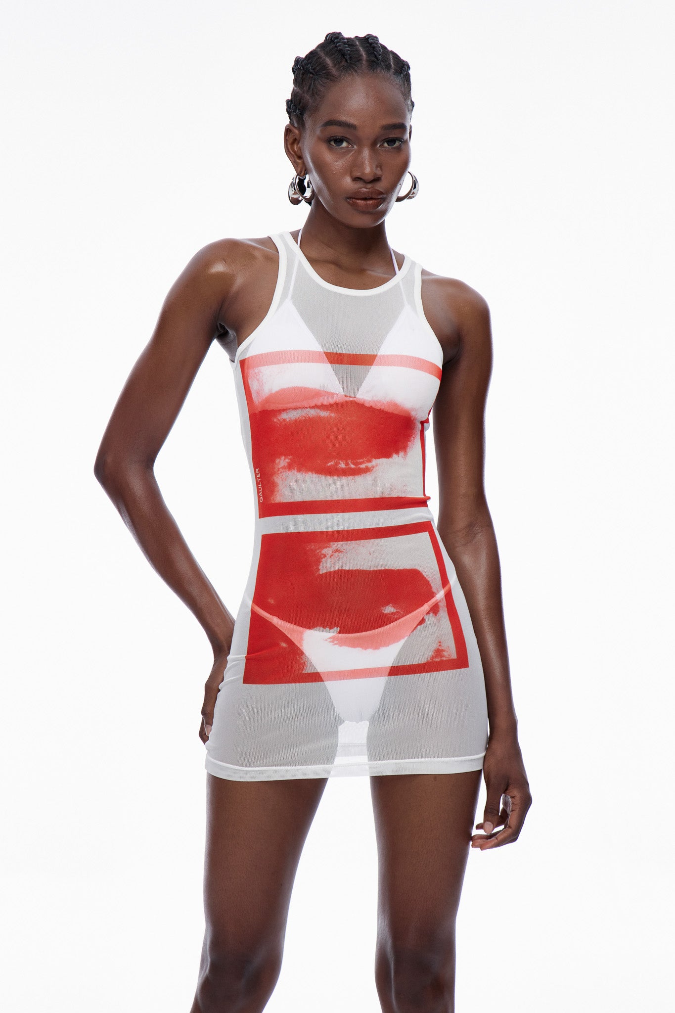 Caradoc Print Mesh Mini Dress