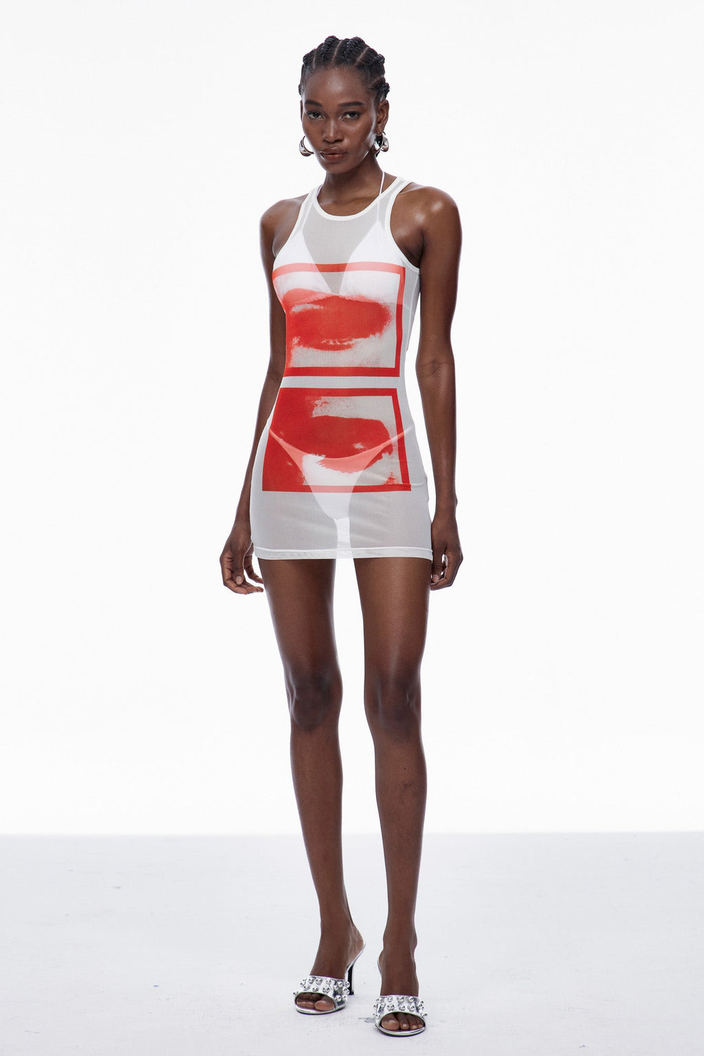 Caradoc Print Mesh Mini Dress