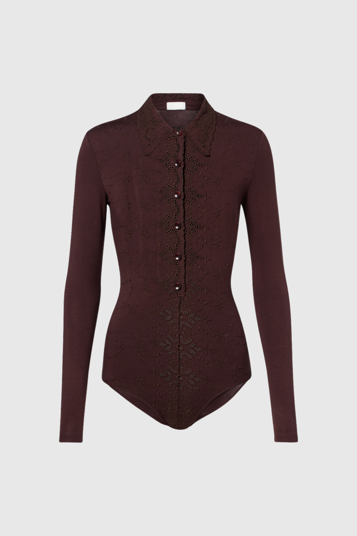 Devadas Long Sleeve Embroidered Bodysuit In Brown